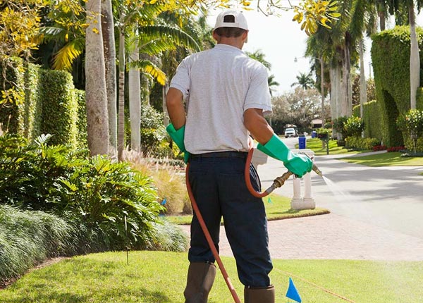 About Avilla IN Pest Control